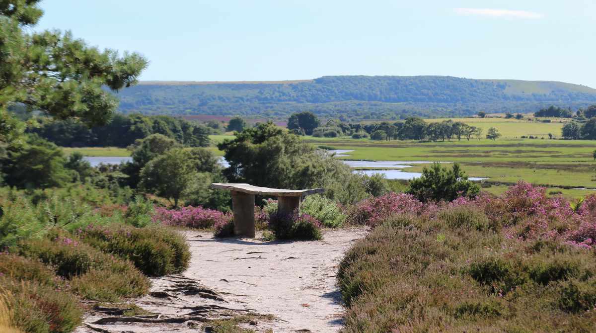 RSPB Arne