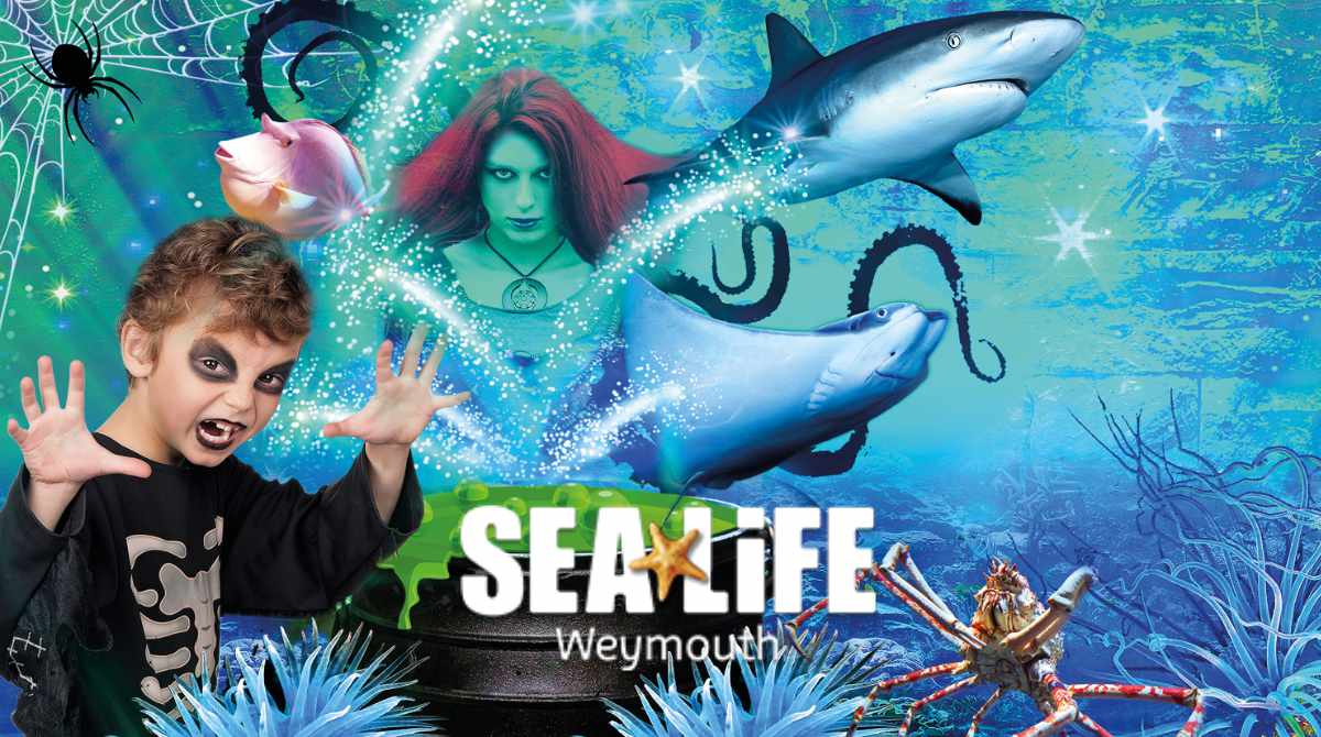 Ascarium at SEA LIFE Weymouth
