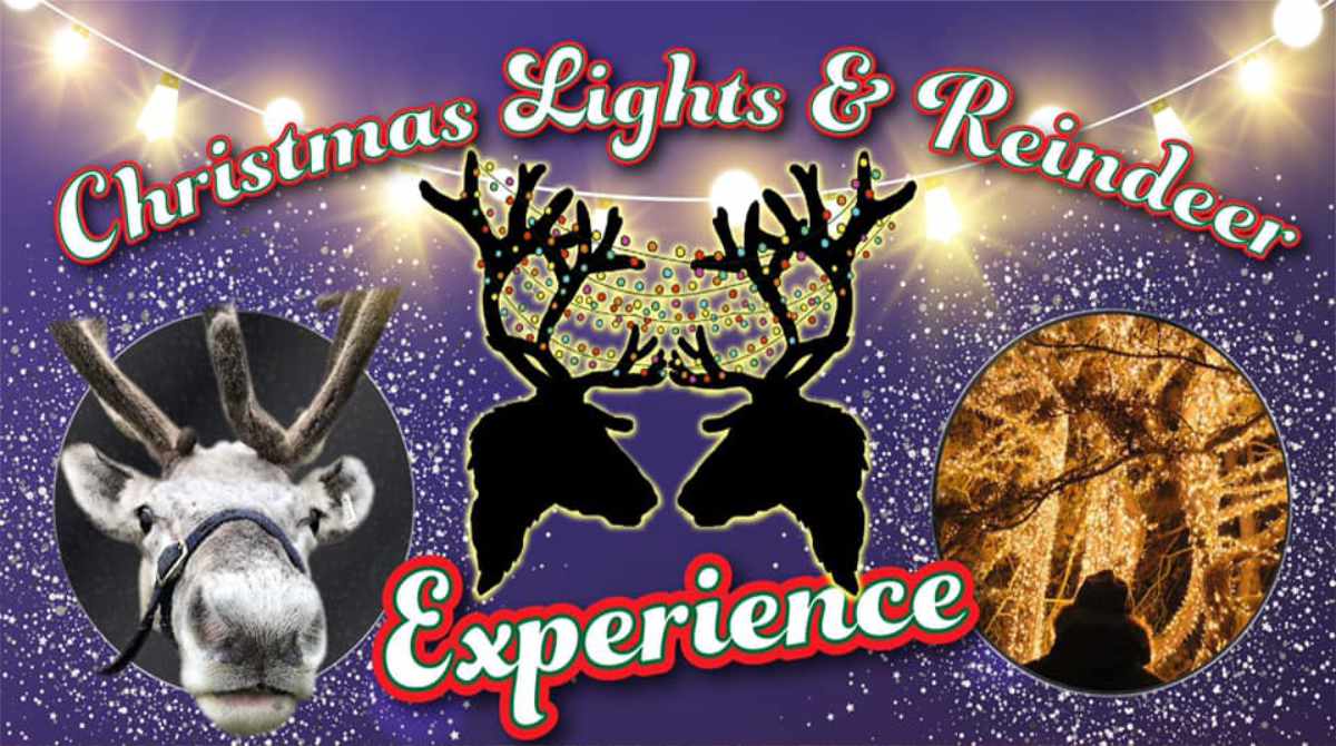 Christmas Lights & Reindeer Experience – Events inDorset