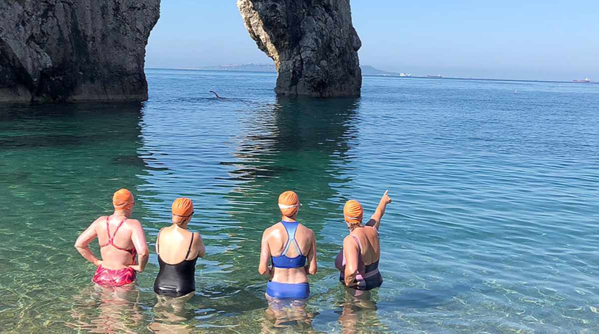 Wild Swim the rocky coves of the Jurassic Coast in Dorset