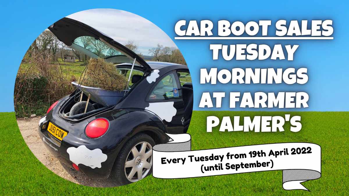 Farmer Palmers Car Boot Sale