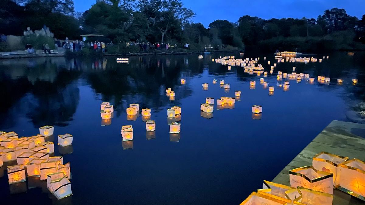 Candles on the Lake, Poole