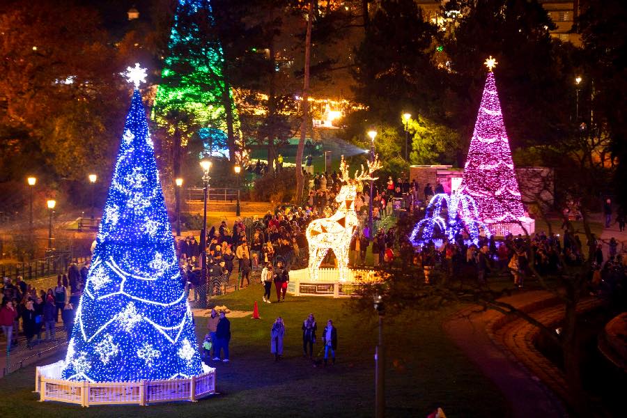 Christmas Tree Wonderland 2022