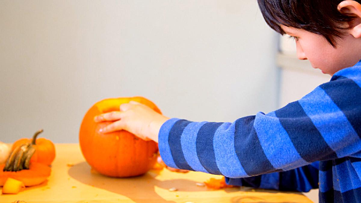 Pumpkin Carving at Shire Hall Museum