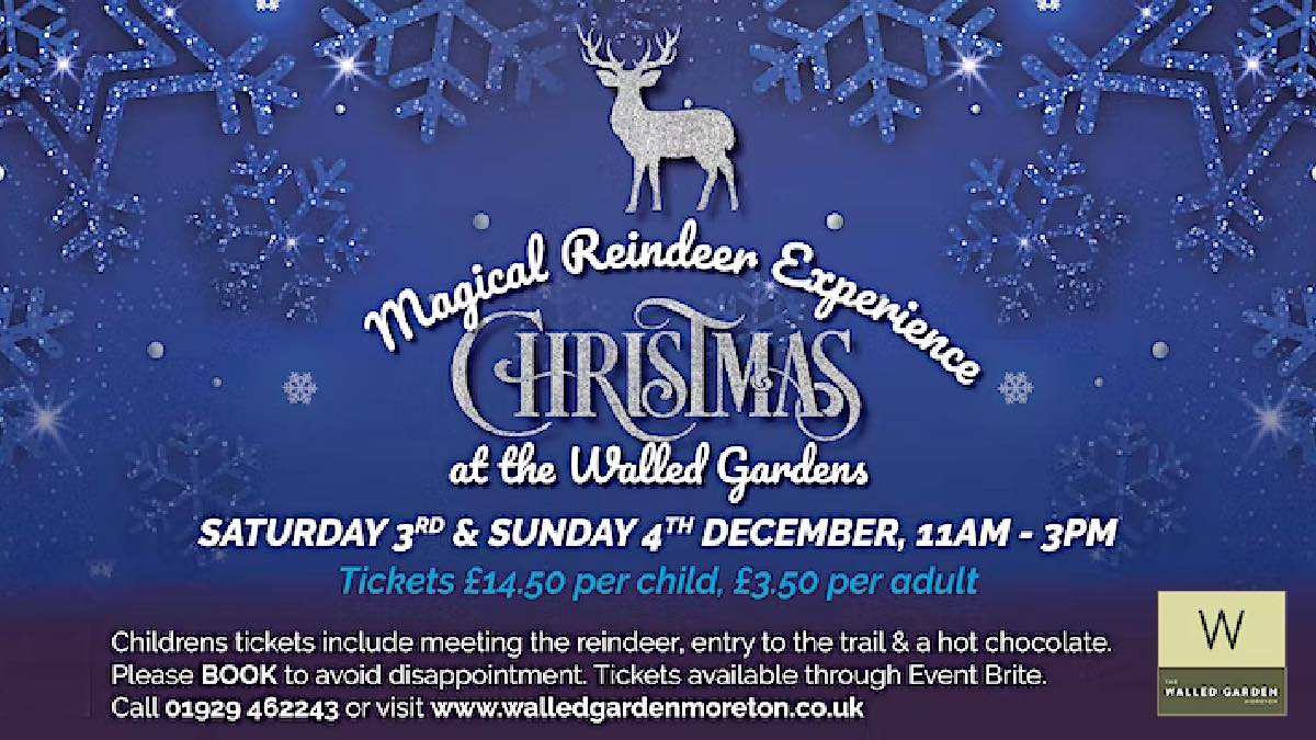 Magical Reindeer Experience at The Walled Garden