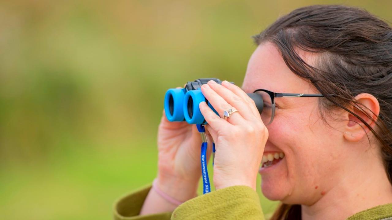 Birdwatching For Beginners Course - RSPB Arne