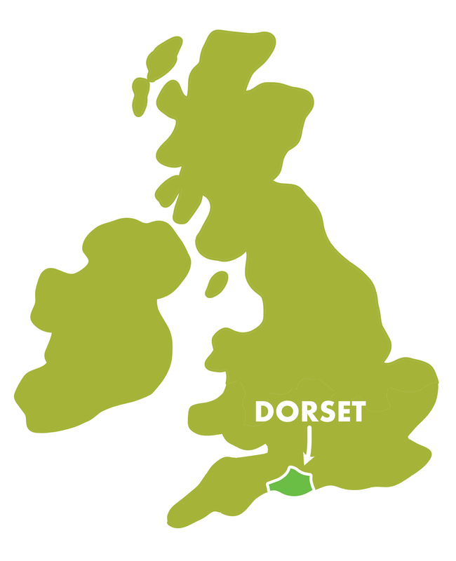 Map of the UK showing the location of Dorset
