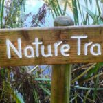Nature Trail at Sherborne Castle and Gardens