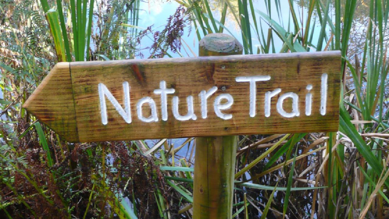 Nature Trail at Sherborne Castle and Gardens