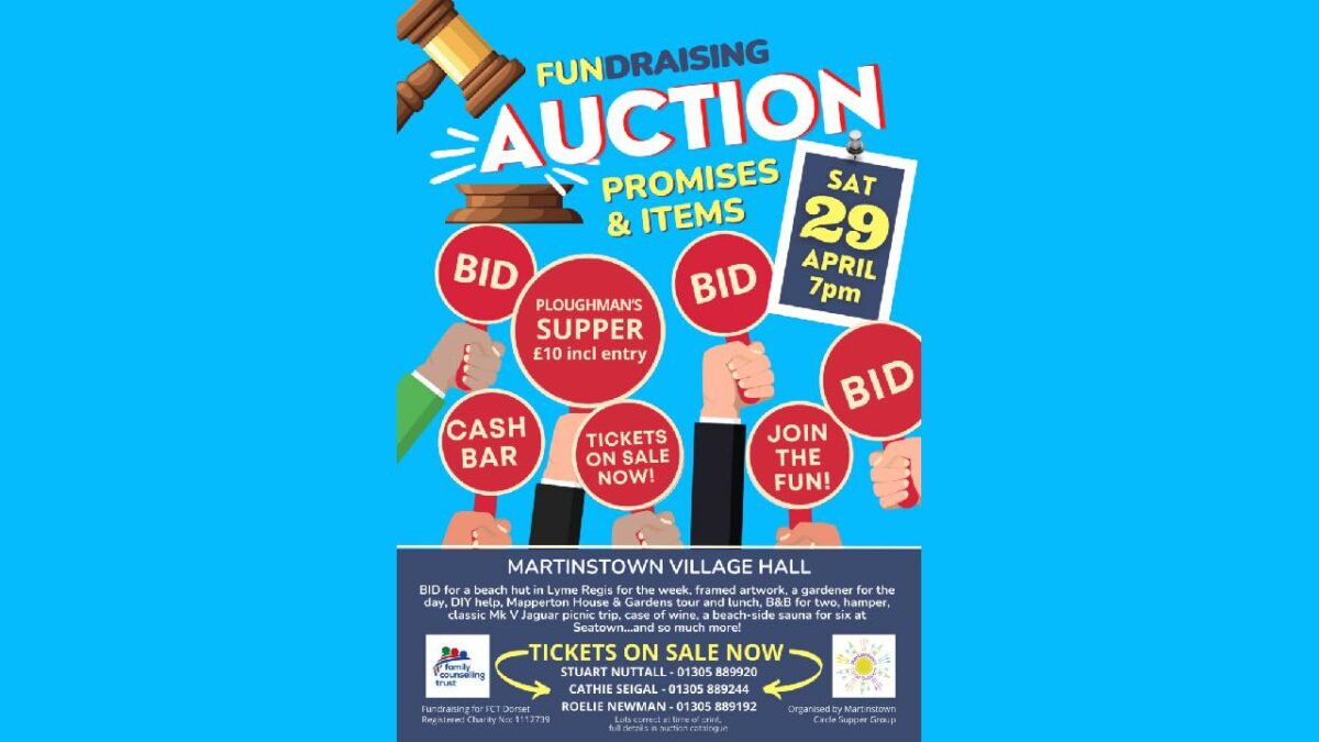 FUNdraising Auction of Promises and Items