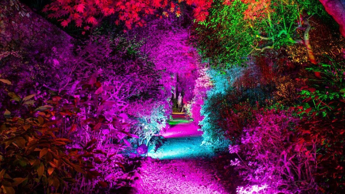 Abbotsbury Subtropical Gardens – Illuminate 2023