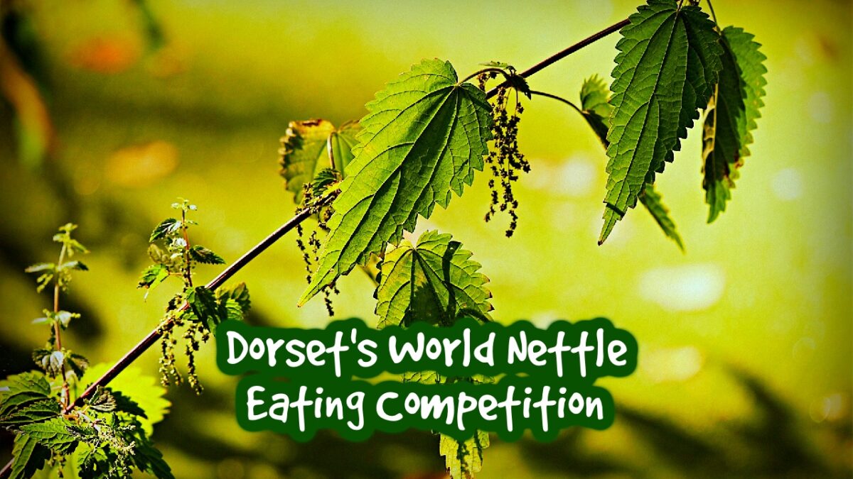 World Nettle Eating Competition 2023