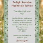 Twilight Meditation Session
