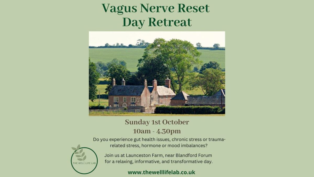 Vagus Nerve Reset Day Retreat