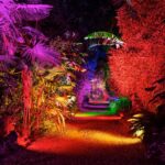 ILLUMINATE WINTER LIGHTS at Abbotsbury Subtropical Gardens