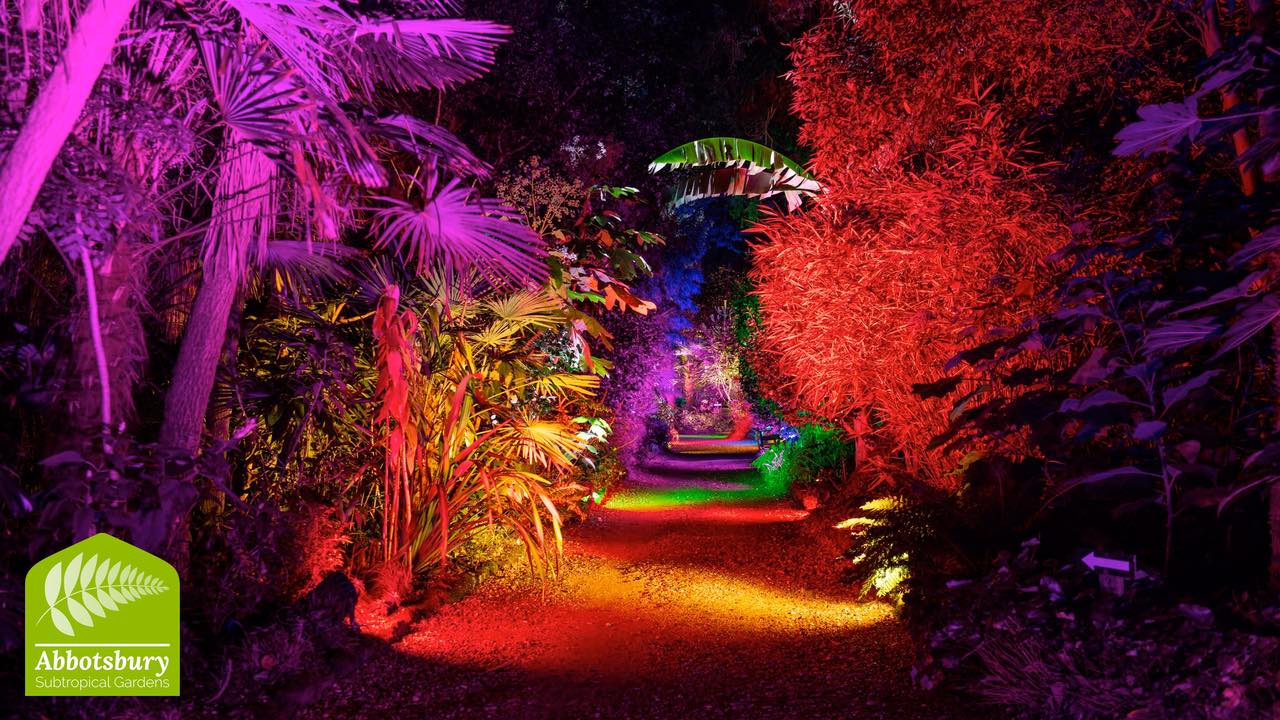 ILLUMINATE WINTER LIGHTS at Abbotsbury Subtropical Gardens