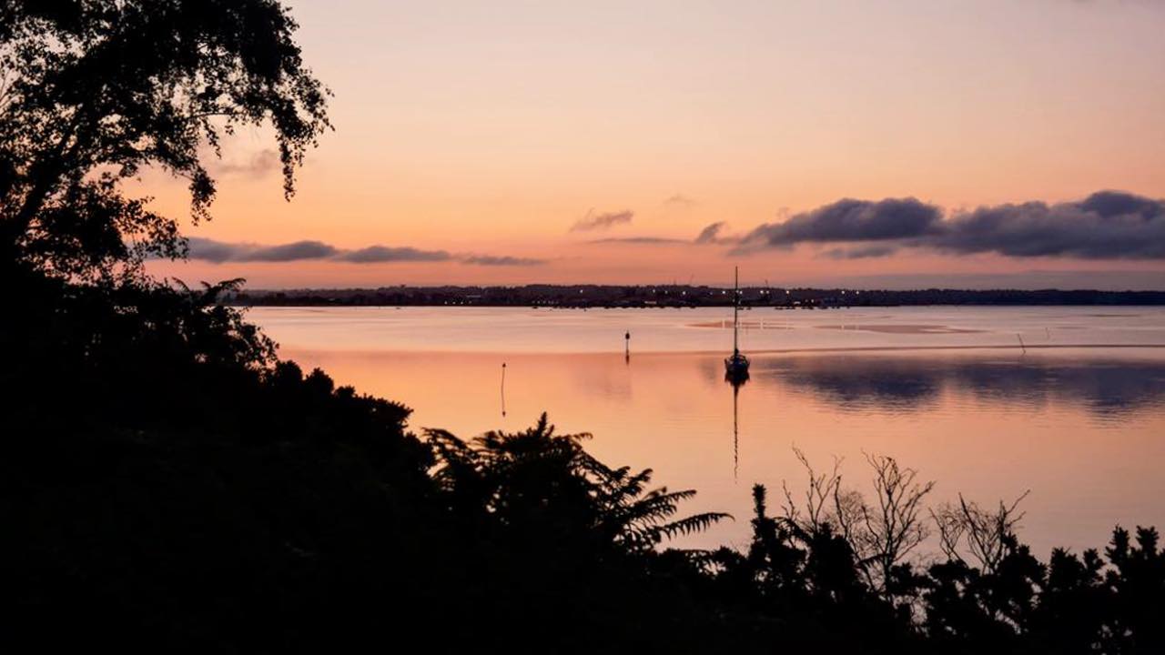 Summer Solstice Guided Walk at Arne