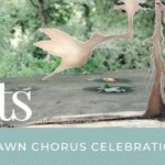 Dawn Chorus Celebration