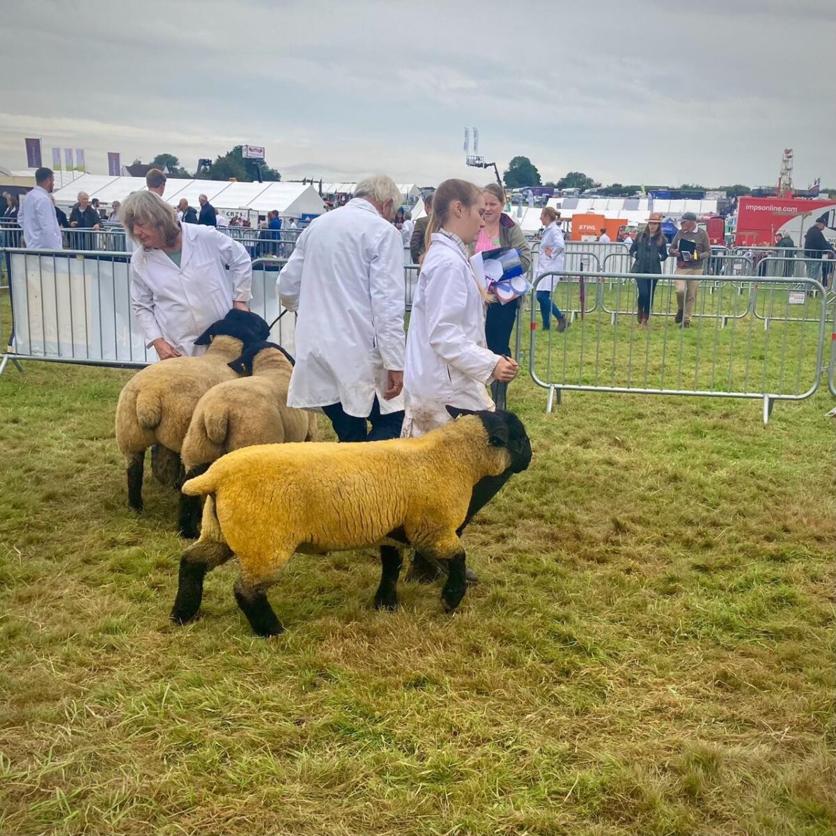 Dorset County Show 2024