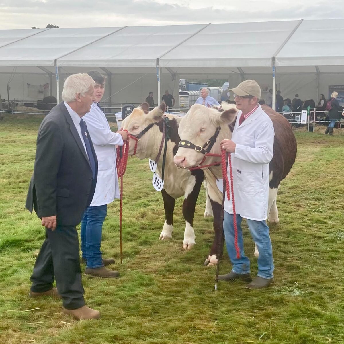 Dorset County Show 2024