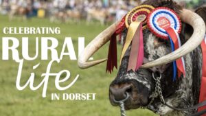 Dorset County Show