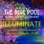 Illuminate 2025 at The Blue Pool 2025