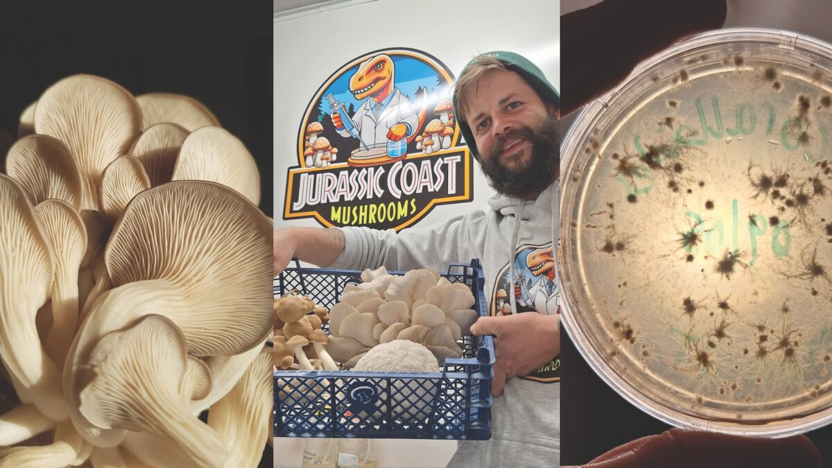 Spring Mushroom Growing Workshop