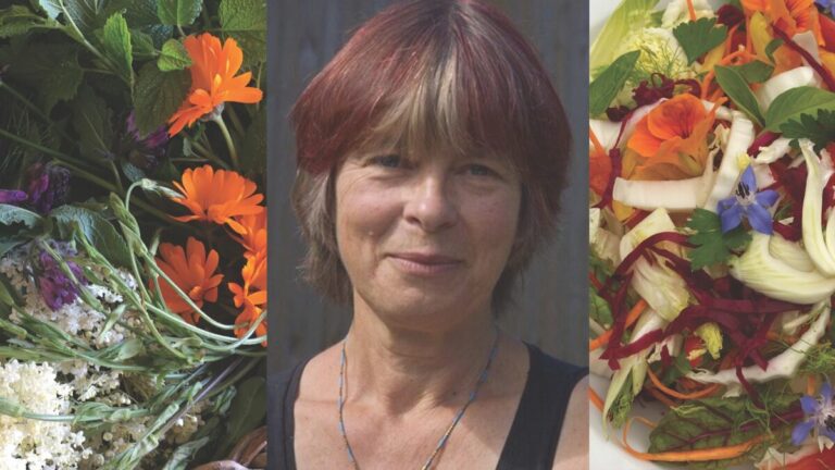 Happy River Retreat Wareham Daphne Lambert Living Food Cooking Workshop And Lunch April Copy