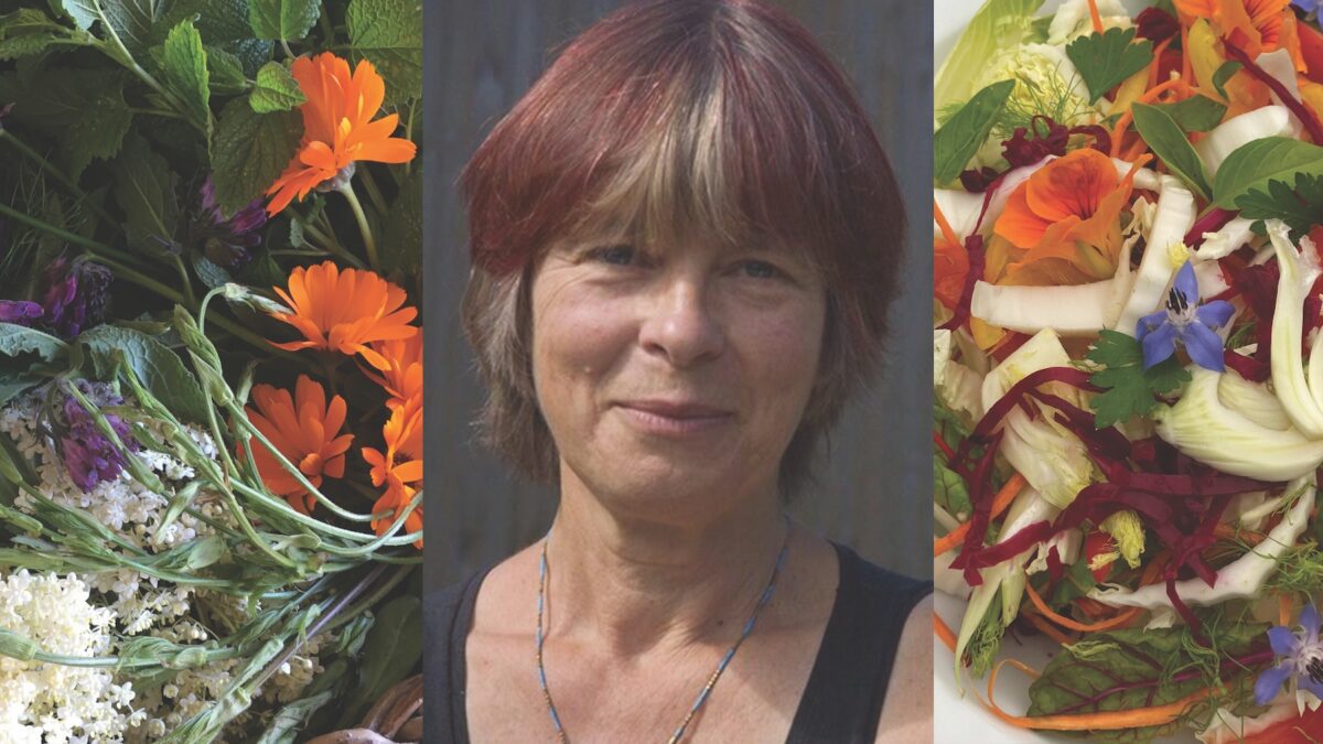 Living Foods Workshop & Lunch with Daphne Lambert