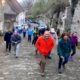 Snowdrop Strider Walk, Shaftesbury