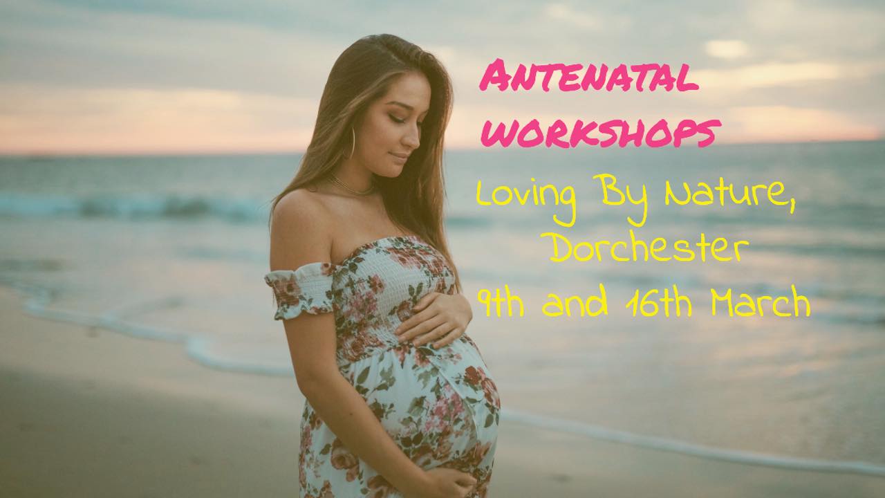 Antenatal classes nr Weymouth, Bridport and Dorchester.  Expecting a baby?