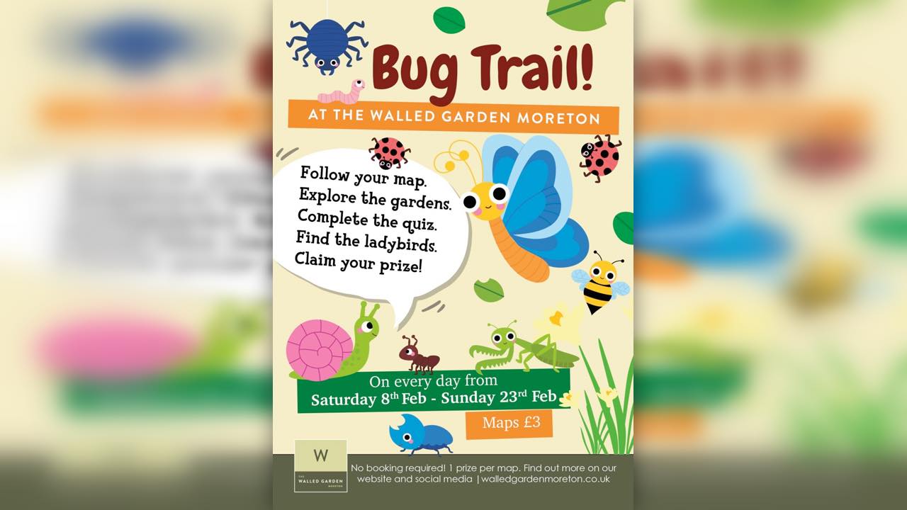 Bug Trail at The Walled Garden – February Half-Term