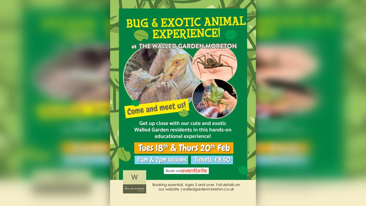 Bug and Exotic Animal Experience at The Walled Garden