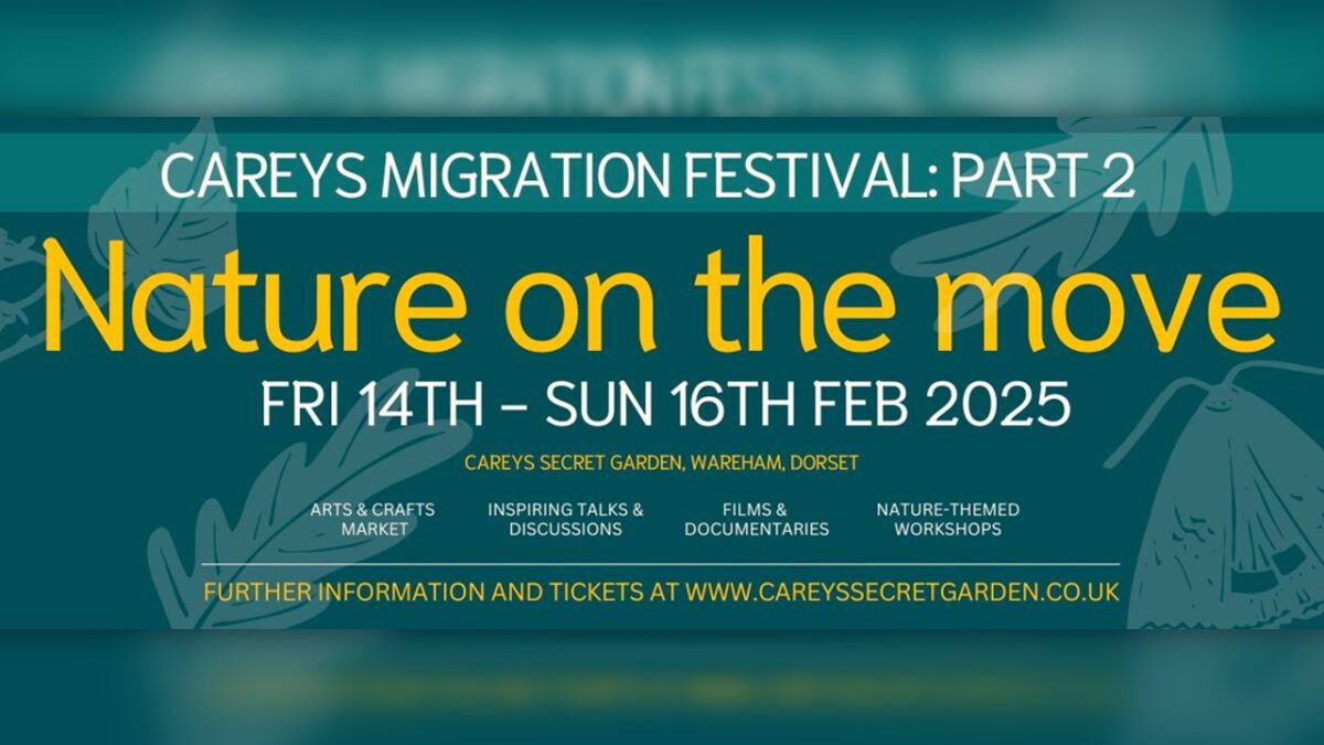 Migration Festival Part 2: Nature on the move at Careys Secret Garden in Wareham, Dorset