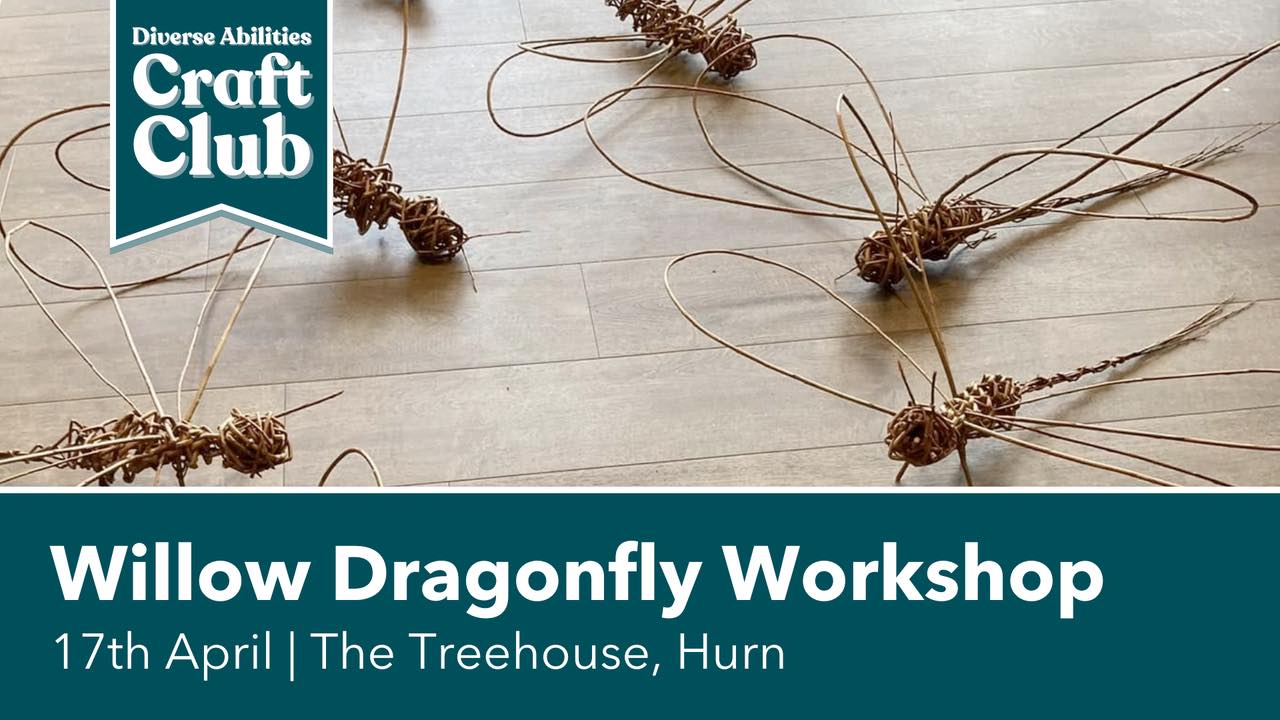 Willow Dragonfly Workshop